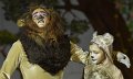 Lionking 0205